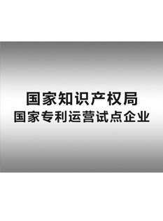 2-0-1-6年，-鼎一知识产权運營服務公司被國(country)家知識産權局确定爲(for)“-國(country)家專利運營試點企業”；.png